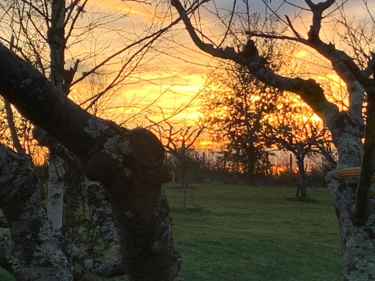 Majellon, Appartement A L'Ouest Sainte-Christie-d'Armagnac Exteriér fotografie
